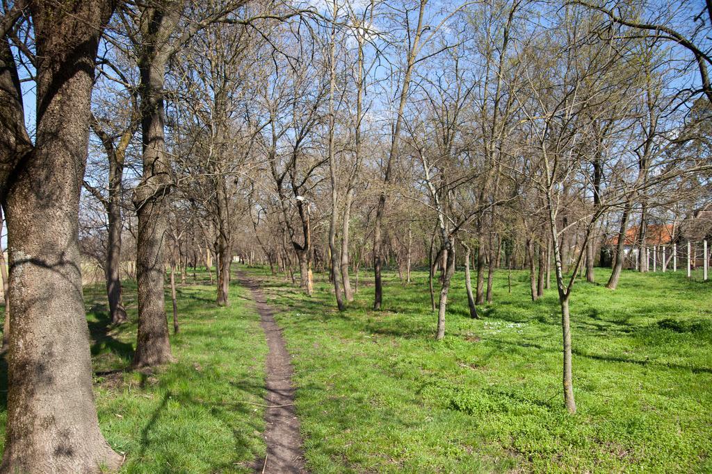 Kakasszéki Vendégház Székkutas Exterior foto