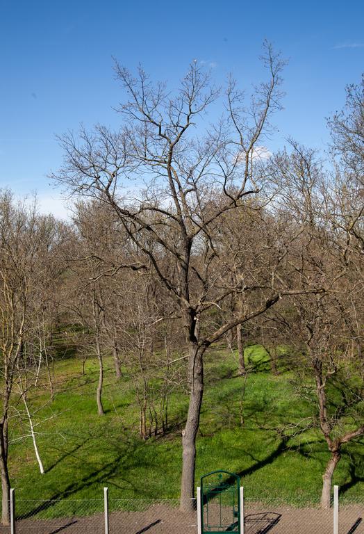 Kakasszéki Vendégház Székkutas Exterior foto